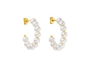 4260695688686 - Paar Creolen Schmuck Geschenk Aina Ohrringe 2125-Earring-Aina Ohrringe Gr Edelstahl-Perlen goldfarben (gelbgoldfarben weiß) Damen mit Süßwasserzuchtperle