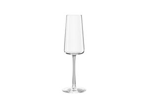 4260762060711 - Champagnerglas Power 240 ml