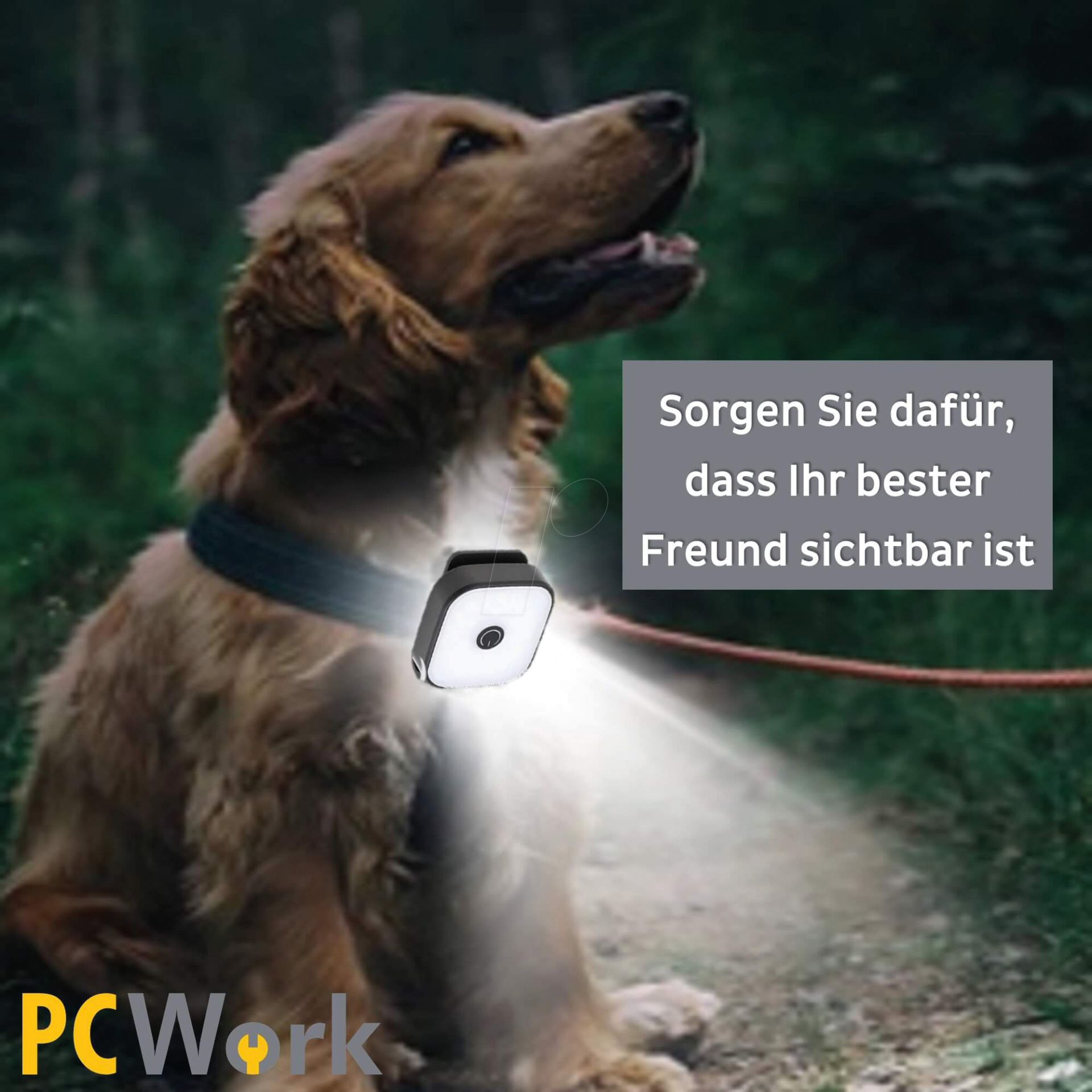 4260766895760 - PCW 12E - Stirnleuchte Clipleuchte PCW12E 200 lm Akku