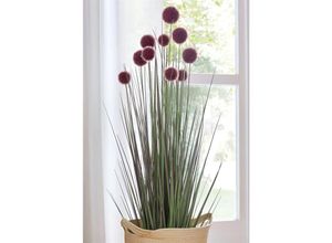 4260772029876 - Dekoleidenschaft - Topfpflanze Allium 90 cm hoch Kunstpflanze Dekopflanze Ziergras Dekogras