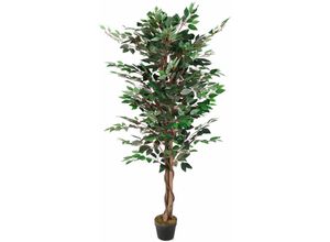 4262365497376 - - Künstlicher Ficus 160cm 1008 Blätter-MKP106