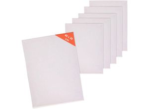4262371537516 - Leinwand auf Keilrahmen 6er Set - 40 x 30 cm - Kunstleinwand mit grundiertem Leinentuch - Maltuch für Acrylfarbe und Ölfarbe Künstler Bedarf Zubehör