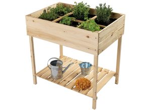 4262371670244 - Pflanzkasten Frühbeet Kräuterbeet Blumenbeet von terra-garten