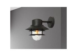 4262382966824 - Meinewunschleuchte - led Wetterfeste Downlight Außen Wandlaterne aus Edelstahl Schwarz Höhe 24cm