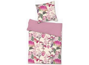 4262414238745 - - 2tlg Wende Cashmere Touch Bettwäsche Jungle Flowers-M702401-Jungle Flowers-Rosa