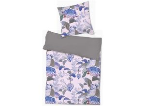 4262414238752 - - 2tlg Wende Cashmere Touch Bettwäsche Jungle Flowers-M702401-Jungle Flowers-Blau