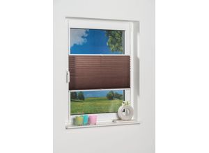 4262424936273 - Plissee K-HOME Klemmfix Pisa Plissees Gr 210cm zweiseitig verschiebbar 50cm braun (mokka) Kinder Crushed-Optik