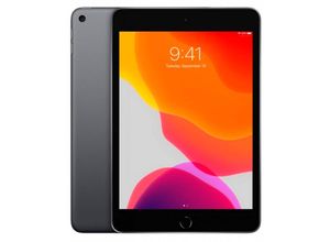 4262431599096 - REFURBISHED – Tablet-PC iPad mini (5 Generation) Generalüberholt