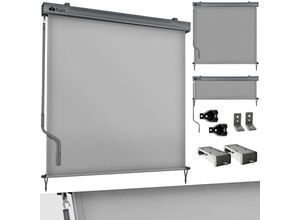 4262436441994 - tillvex® Senkrechtmarkise 250x160 cm Grau für Außen- und Innenbereich Außenrollo wasserfest mit Handkurbel für Balkon Terrasse & Garten Balkonrollo