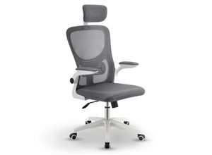4262437184203 - Bürostuhl Baltimore mit Rollen & Armlehne - Schreibtischstuhl ergonomisch - Stuhl - Grau 4262437184203 - Bürostuhl Baltimore mit Rollen & Armlehne - Schreibtischstuhl ergonomisch - Stuhl - Grau