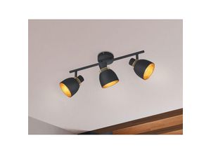 4262442795975 - LED Deckenstrahler 3-flammig Metall Schwarz Gold mit Drahtgeflecht Breite 45cm