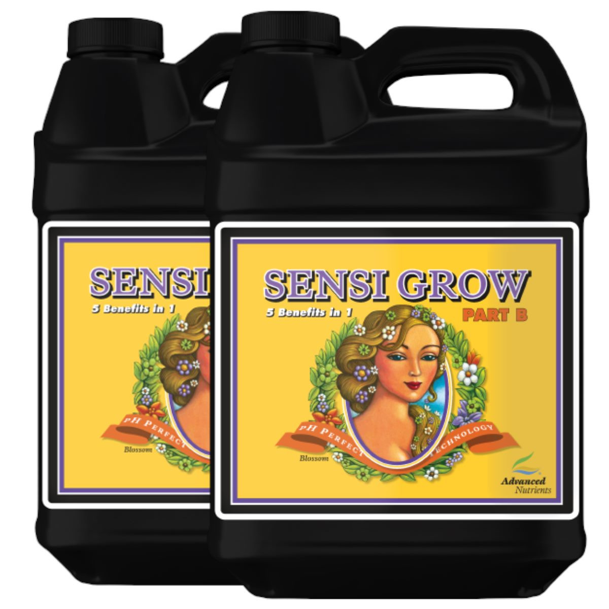 4262457454157 - pH Perfect Sensi Grow A+B 10 Liter