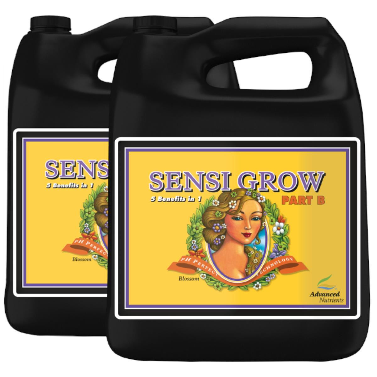 4262457454980 - pH Perfect Sensi Grow A+B 5 Liter