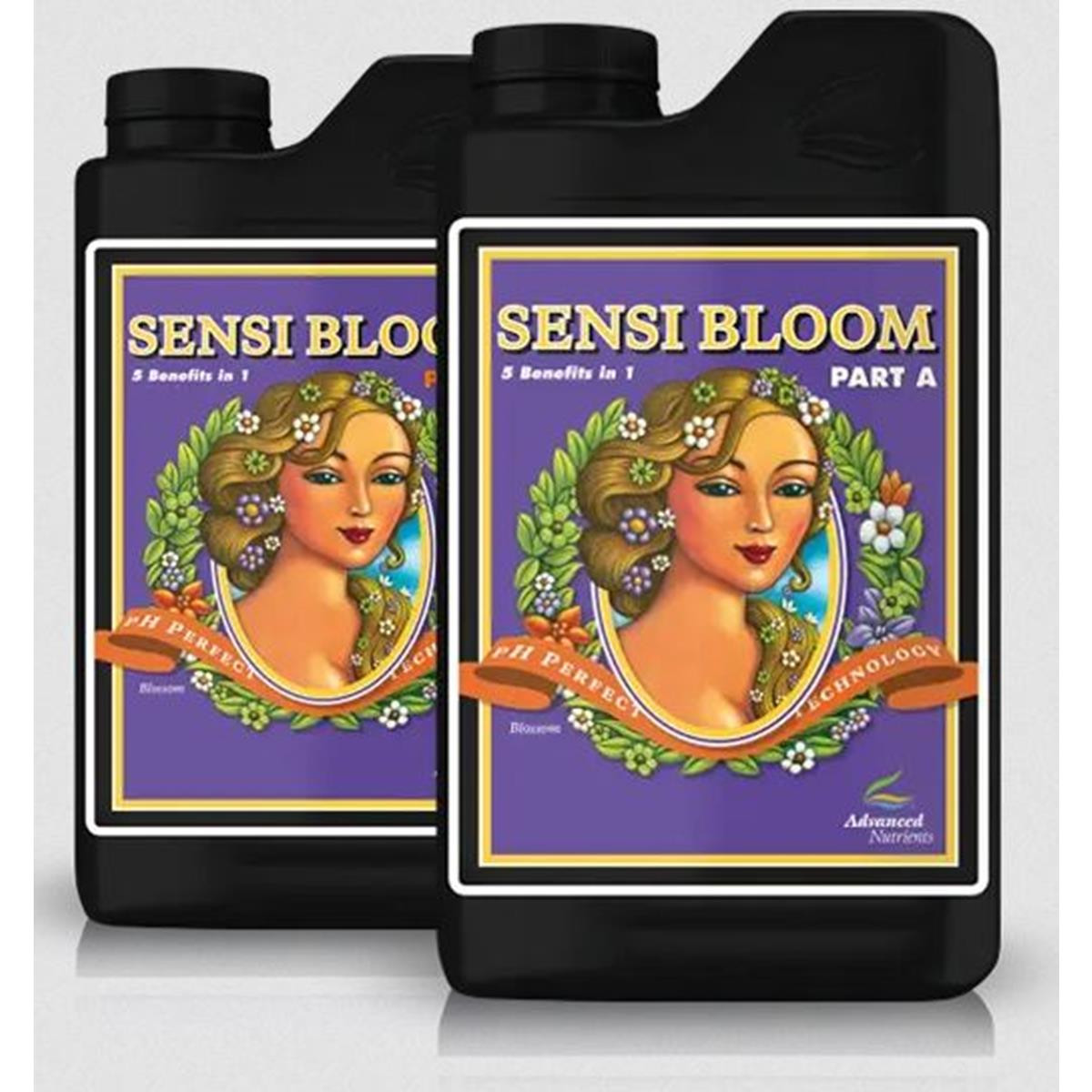 4262457454997 - pH Perfect Sensi Bloom A+B 1L 5L und 10L