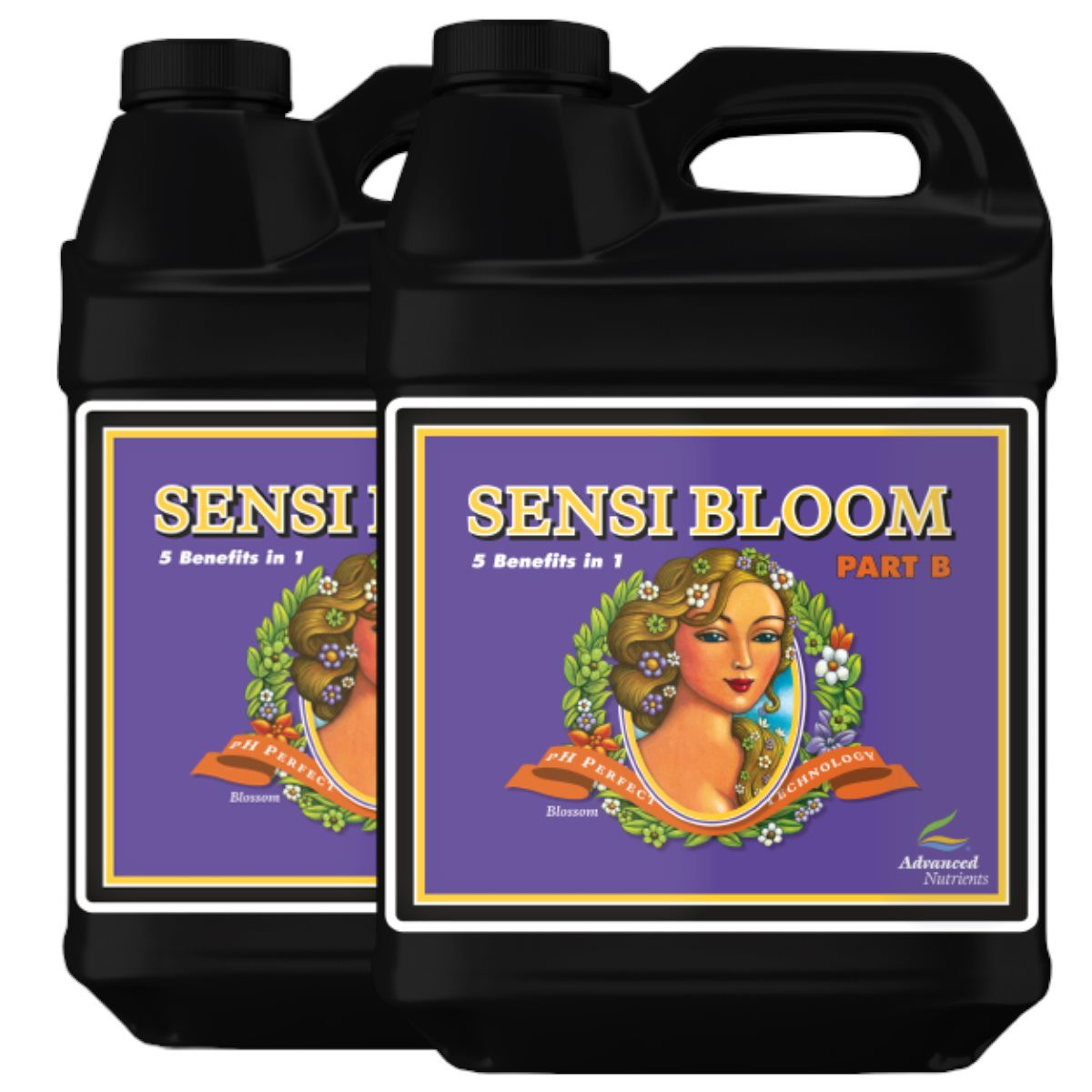 4262457455017 - pH Perfect Sensi Bloom A+B 10 Liter