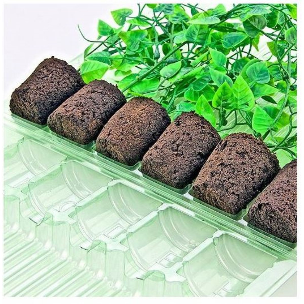 4262457455352 - Steckling Versandverpackung für 6 Wurzelballen ø38x50mm 4262457455352 - Steckling Versandverpackung für 6 Wurzelballen ø38x50mm