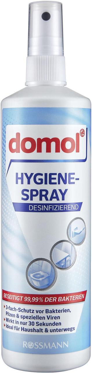 4305615088181 - Desinfektionsspray Hygiene-Spray 250 ml 2500 ml