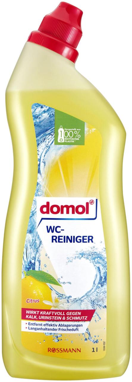 4305615596549 - domol Citrus WC-Reiniger Citrus 10 l