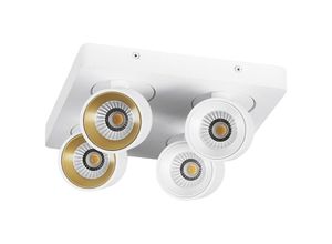 4332539847952 - Led Spot Landau in Weiß 4-flammig - Weiß - Mylight