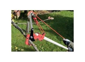 4333692037761 - TrendLine Raupenschere mit Seilzug 4333692037761 - TrendLine Raupenschere mit Seilzug