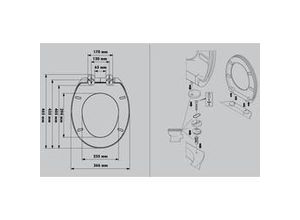 4333692416986 - WC-Sitz mit Absenkautomatik Herz weiß WC-Sitz - Primaster