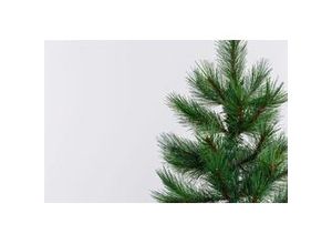 4333692642026 - Künstlicher Tannenbaum120 cm Christbaum Weihnachtsbaum pvc Tanne - Primaster