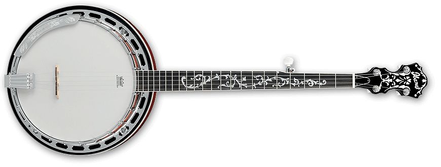 4515276628606 - B200 Banjo 5-String Bluegrass Banjo