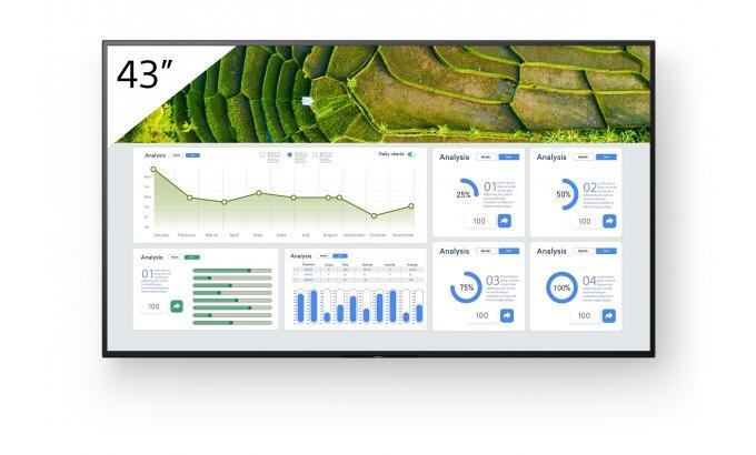 4548736150089 - Bravia Professional Displays FW-43BZ30L BZ30L Series - 43 LED-backlit LCD display - 4K - for digital signage