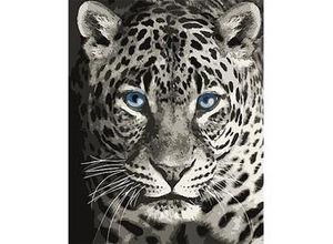 4630102096548 - Malen nach Zahlen auf Leinwand Leopard 40 x 50 cm