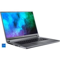 4710886847038 - Predator Triton 500 (PT516-51s-729W) Gaming-Notebook NHQAJEG003