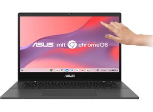 4711387339978 - ASUS Convertible Notebook Chromebook CM1402FM2A-EC0106 Flip CM1 Notebooks ChromeOS Clamshell Laptop with Full HD IPS Touch Display Gr 4 GB RAM 128 GB SSD Kompanio grau Convertible Notebooks