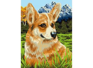 4778004508193 - Malen nach Zahlen Corgi 30 x 40 cm