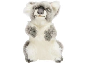 4806021972038 - HANSA Creation Kuscheltier Koala 26 cm grau