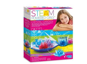 4893156049018 - Steam Powered Girls - Kristallgarten