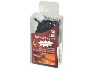 4893299025177 - Led Lichterkette 30 Lichter