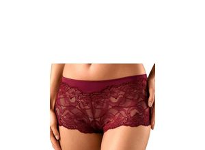 4893962296170 - Große Größen Panty bordeaux+schwarz Gr48 50