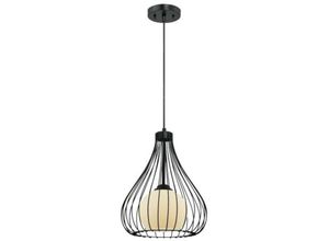 4895105609847 - Pendelleuchte Käfig Glaskugel Mattschwarz mit 1 Lampe