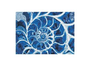 4895225915170 - Diamond Dotz Blaue Nautilus