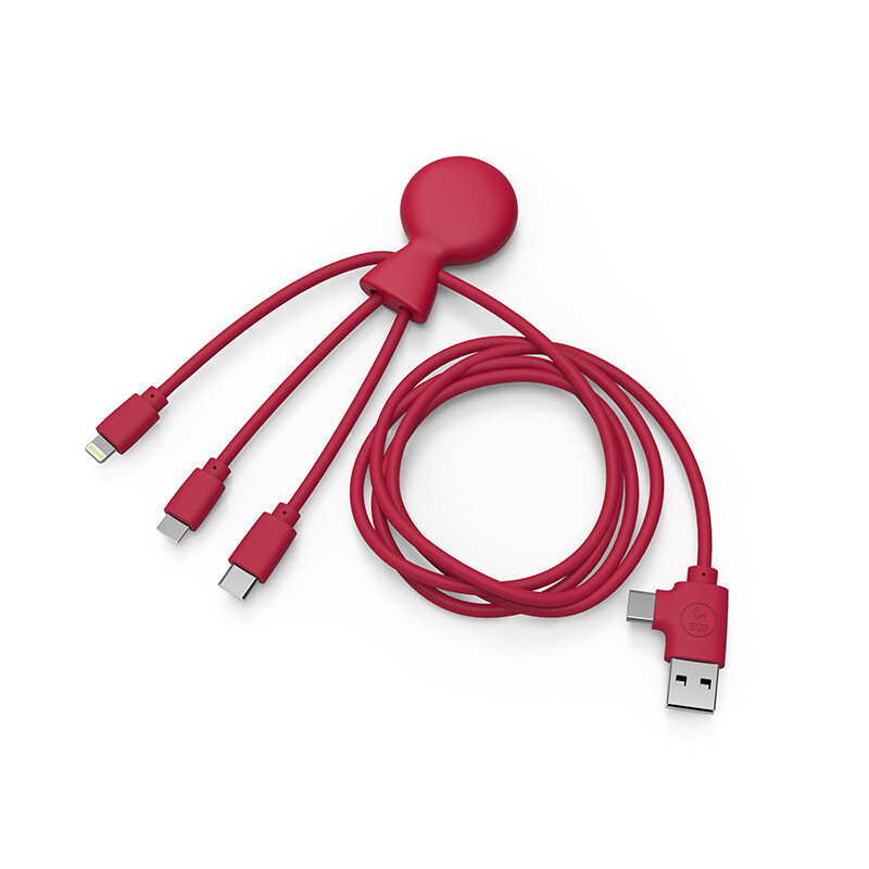 4895228104090 - Kabel 1 m Doppeleingang Typ c usb Xoopar Mr Bio Long