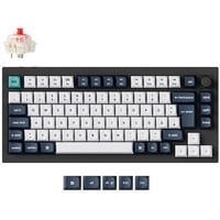 4895248875239 - Q1 Max Gaming-Tastatur