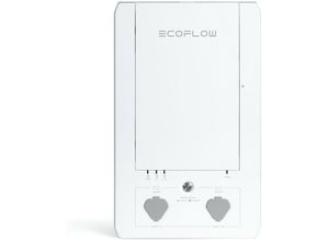 4897082666530 - Eco Flow - EcoFlow Smart Home 0% MwSt §12 iii UstG Panel