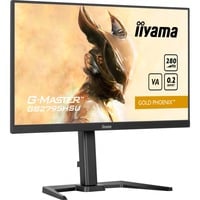 4948570124428 - G-Master GB2795HSU-B1 Gold Phoenix Gaming-Monitor