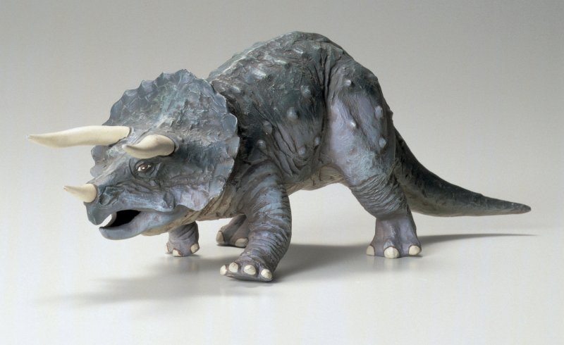 4950344078172 - Dino Triceratops Eurycepühalus