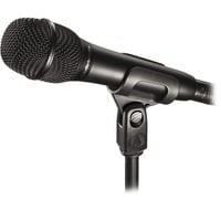 4961310090784 - AT2010 Microphone