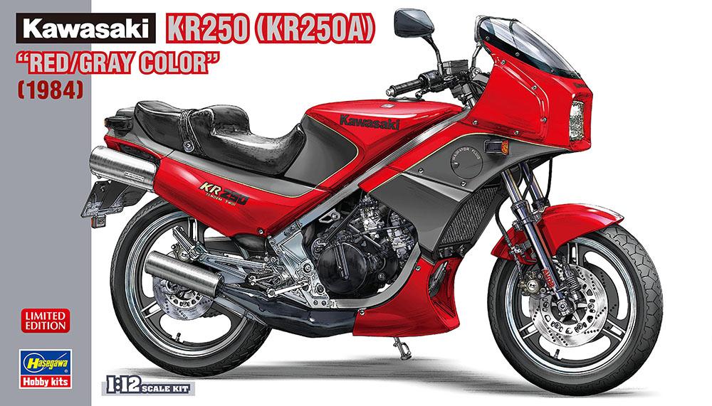 4967834217515 - Kawasaki KR250 Rot Grau