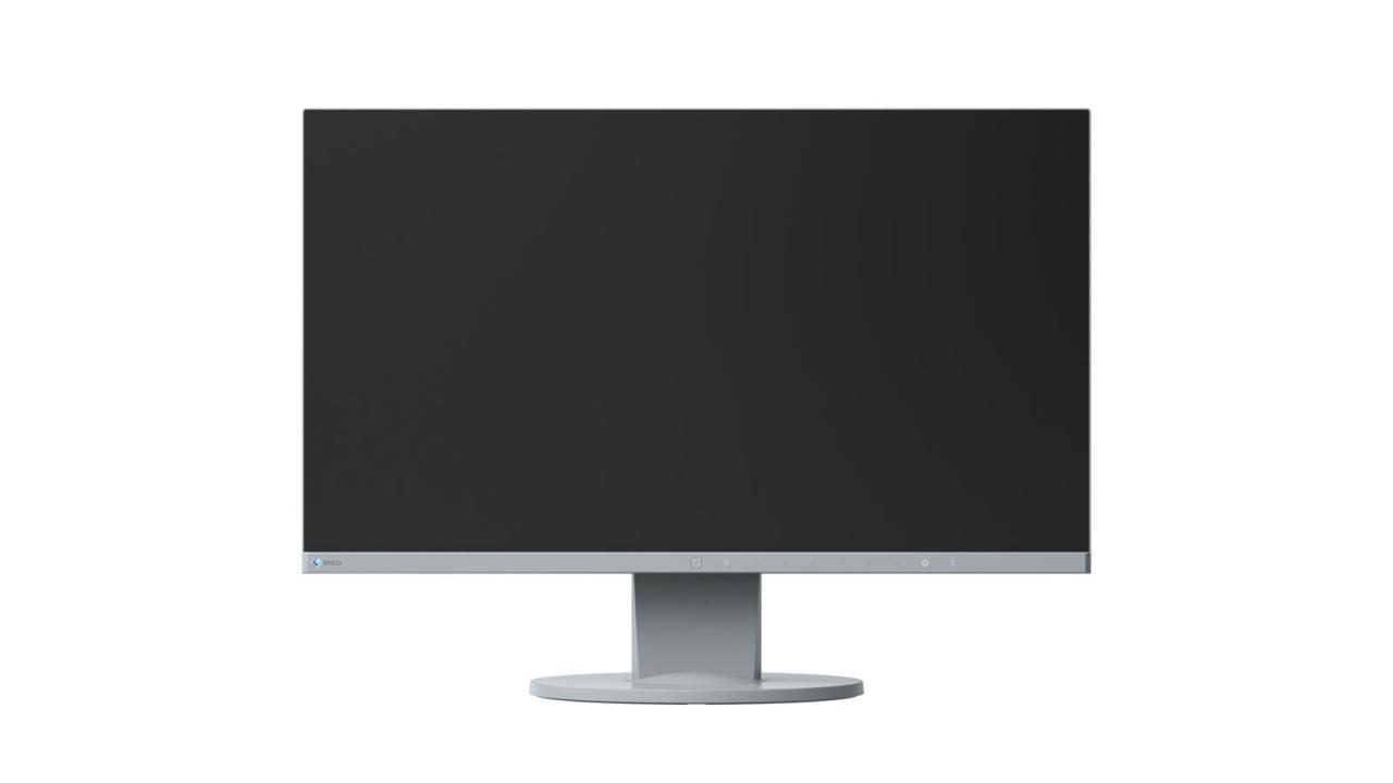 4995047045557 - EIZO FlexScan EV2450-GY LED-Monitor 60 cm 238 Zoll lichtgrau