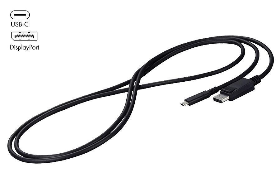 4995047056850 - EIZO CP200 - video adapter cable - USB-C to DisplayPort - 2 m