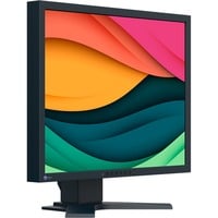 4995047065500 - 21 EIZO FlexScan S2134 - LED monitor - 213 - 6 ms - Bildschirm