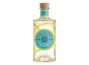 5000299296042 - Gin Con Limone 410 % vol 07 Liter