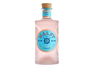 5000299296066 - Gin Rosa 410 % vol 07 Liter